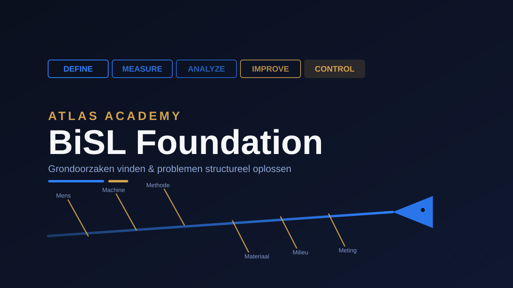 BiSL Foundation
